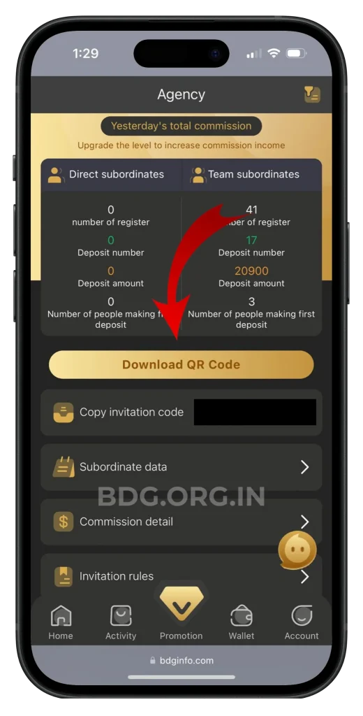 bdg-promotional-page